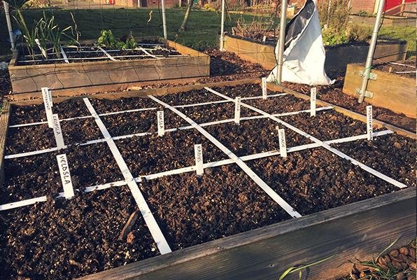 De eerste vakken van mijn Mega Opbrengst Moestuinbakzijn ingezaaid