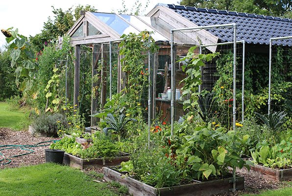 Makkelijke Moestuinbakken begin september