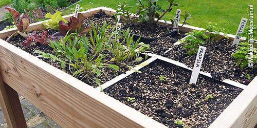 Net ingezaaide en beplante bak - eind mei