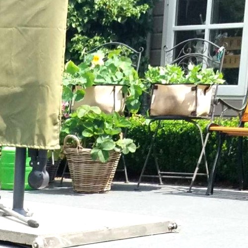 Makkelijke Moestuin mini's op tuinstoeltjes