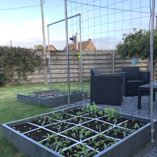 Makkelijke Moestuin Hero bakken in de tuin van Mochi