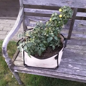 Review Makkelijke Moestuin mini