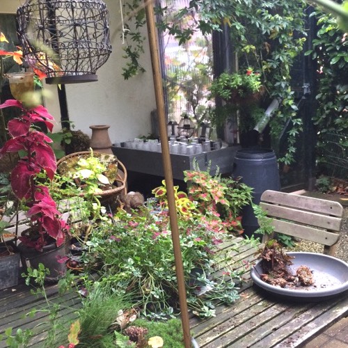 Makkelijke Moestuin mini's review en win-actie