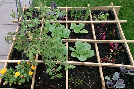 Moestuinbak met moestuingrond van Pokon