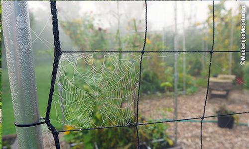 Ochtendmist in de Makkelijke Moestuin