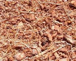 Cocopeat