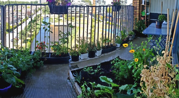 Makkelijke Moestuin op het balkon
