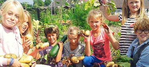 Schooltuinproject