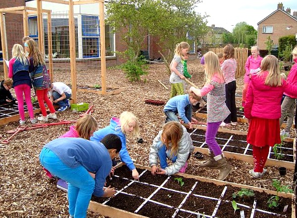 Makkelijke Moestuin schooltuin in Sauwerd