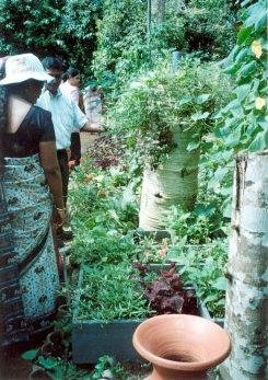 Vrouwen in Sri Lanka