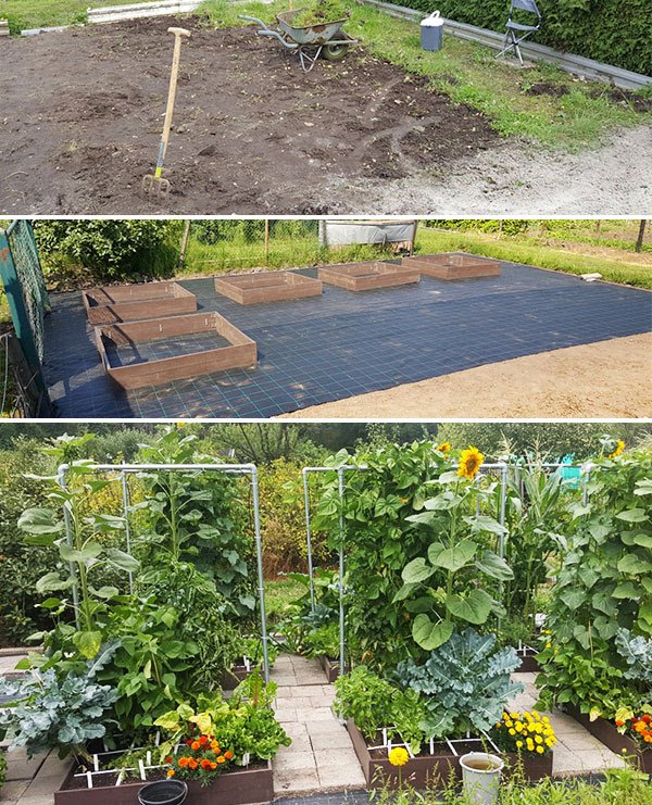 Van kale volkstuin naar Makkelijke Moestuin