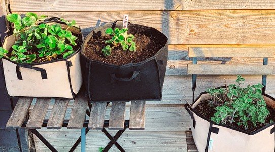 Makkelijke Moestuin mini-pot: ideaal voor kleine ruimtes