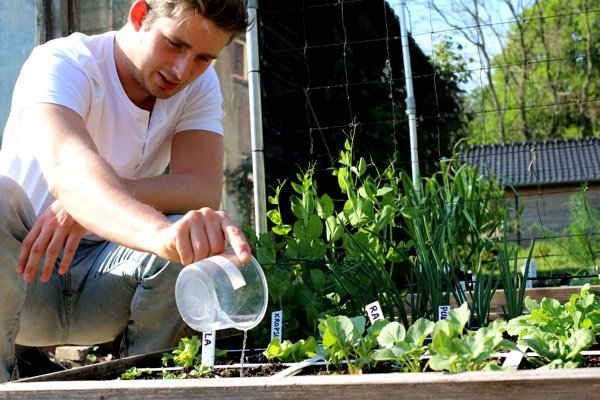 Water geven in de Makkelijke Moestuin met een plastic bakje