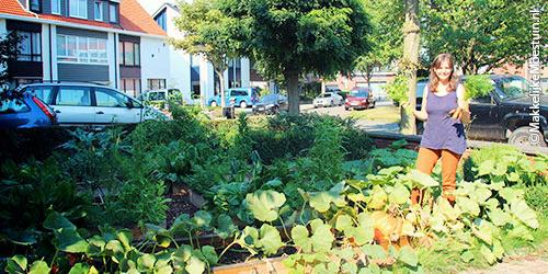 Oogsten uit de Makkelijke Moestuinbakken in de voortuin