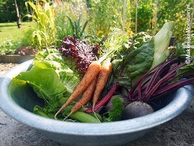 De oogst van een rondje langs de moestuinbakken