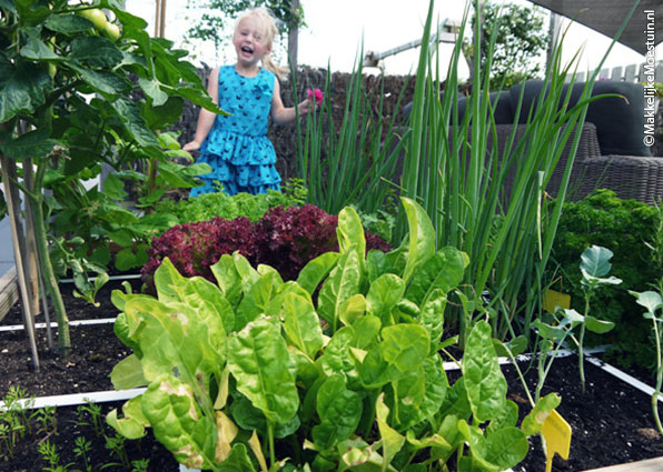 Rendabele Makkelijke Moestuinbak