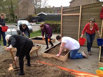 Het schoolteam zet makkelijke moestuintjes op het schoolplein