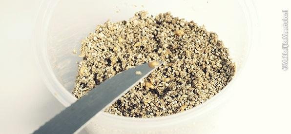 Leg de verse tomatenzaadjes op de vochtige vermiculiet