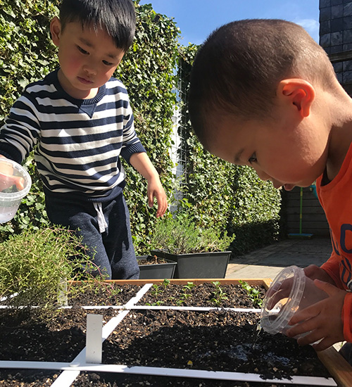 Moestuin voor kleine kinderen