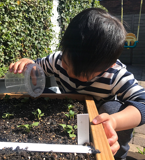 Moestuintje voor kleine kinderen