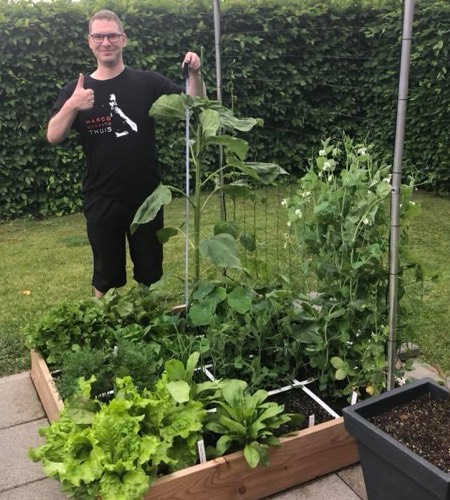 Remy's Makkelijke Moestuin, 25 mei: zonnebloem schiet de lucht in