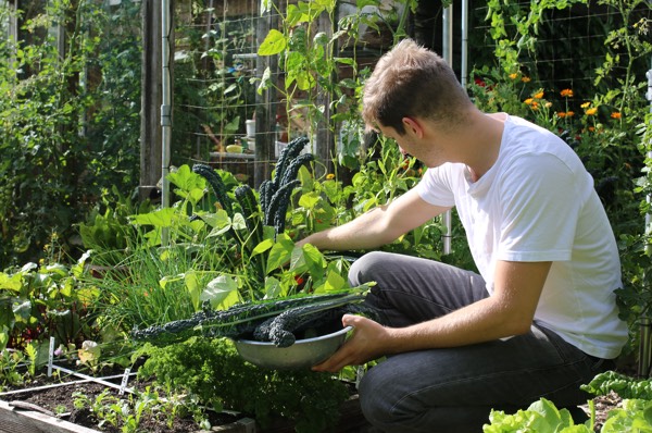 Makkelijke Moestuinmix is geschikt voor groentes, kruiden en bloemen