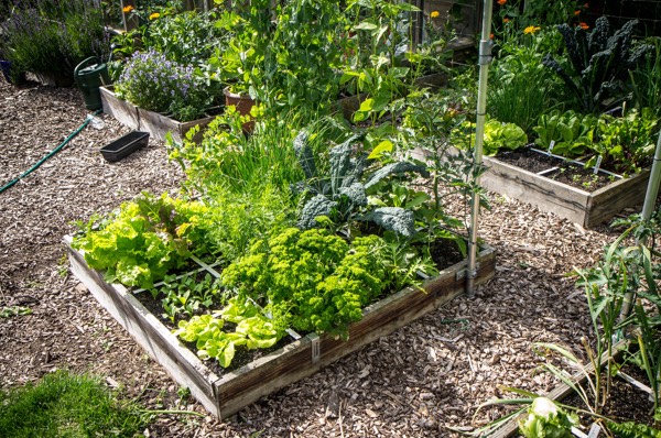 Makkelijke Moestuinmix gaat al 10 jaar mee