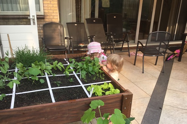 Wie knabbelt er aan de rucola?