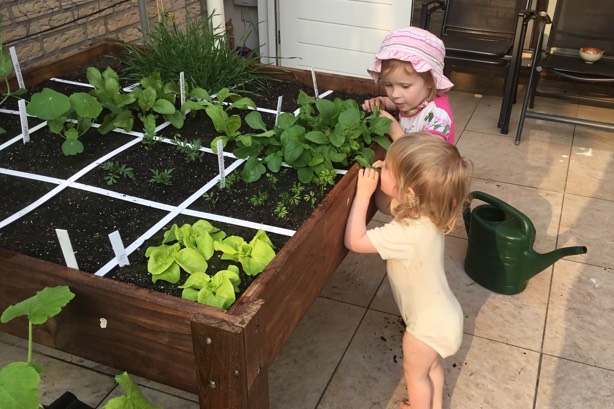 Wie knaagt er aan de rucola?