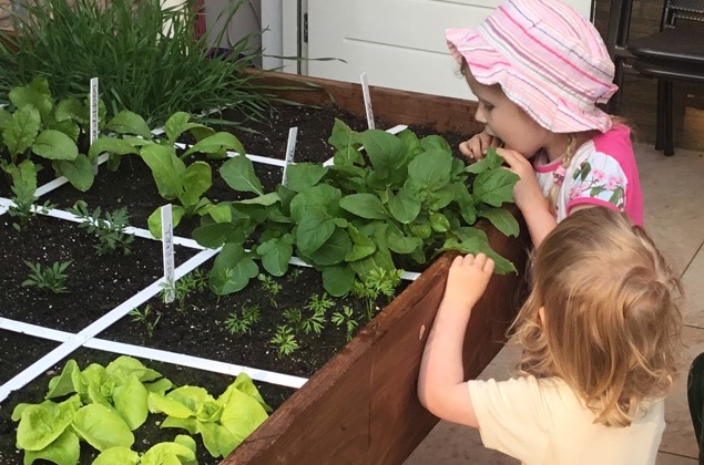 De daders van de aangevreten rucola
