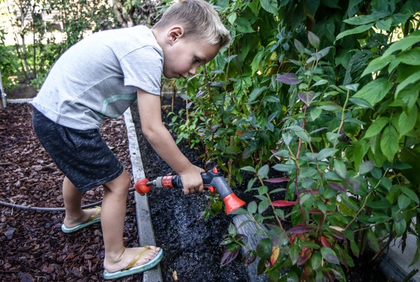 Jongetje geeft water in de Makkelijke Moestuin