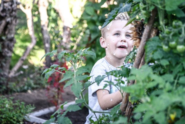 Kinderen leren veel van een moestuin