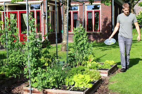 Zet je moestuinbakken zo dicht mogelijk bij de keukendeur