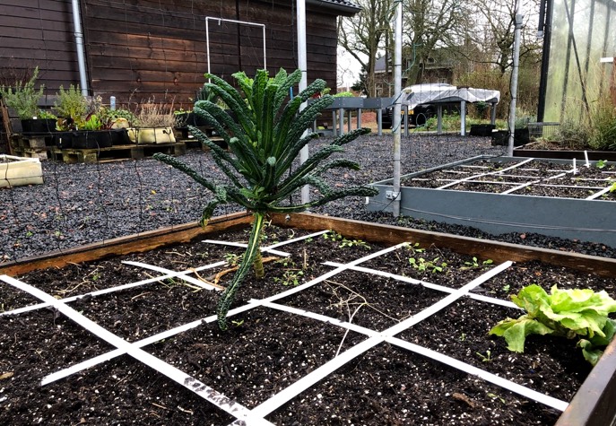 De Makkelijke Moestuin in wintersstand
