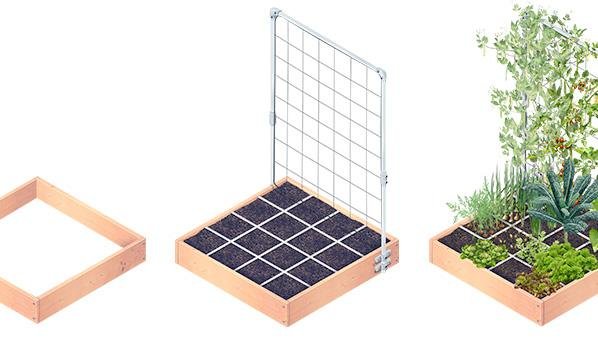 Zet een Makkelijke Moestuin op