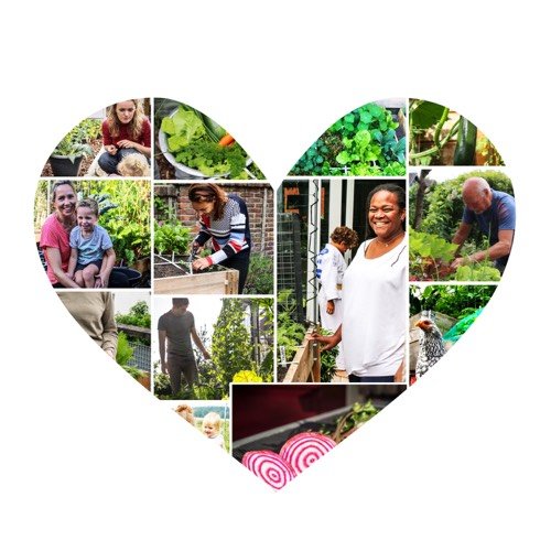De community van de Makkelijke Moestuin