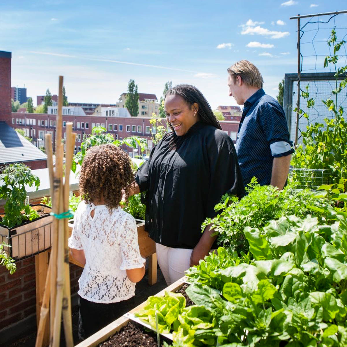 Makkelijke Moestuin op balkon en dakterras