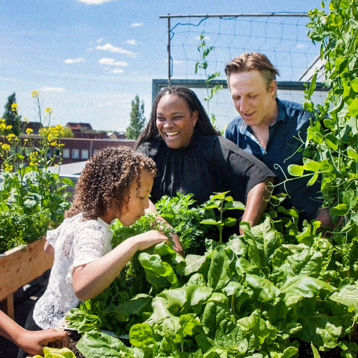 Quality time voor het gezin in de Makkelijke Moestuin