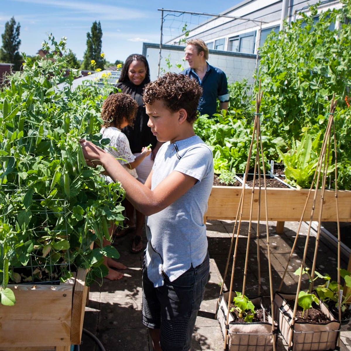 Leren over planten en beestjes in de Makkelijke Moestuin