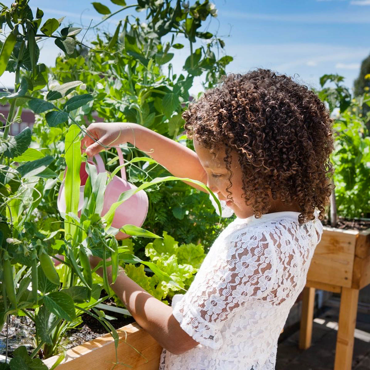 Alles groeit en bloeit in een Makkelijke Moestuin op een zonnig balkon