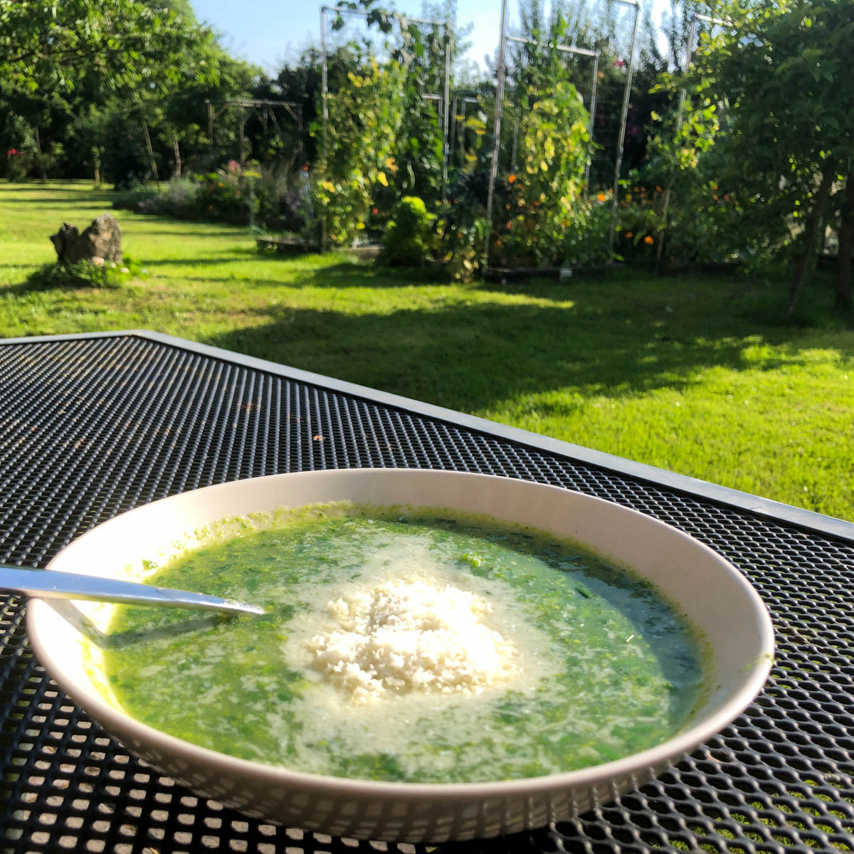 Courgette soep met veel peterselie en bieslook