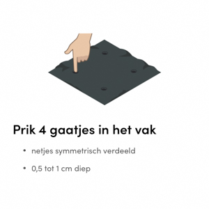 Paksoi past met 4 plantjes in een Makkelijke Moestuin vak