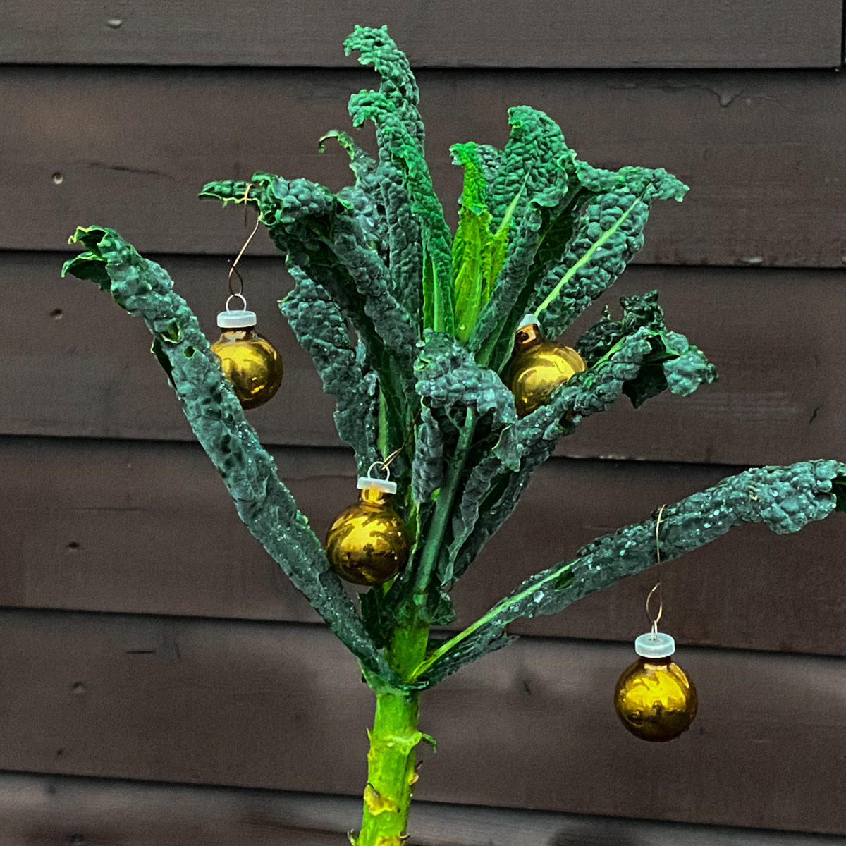 🎶 Ik sta hier heel alleen Kerstfeest te vieren … 🎶