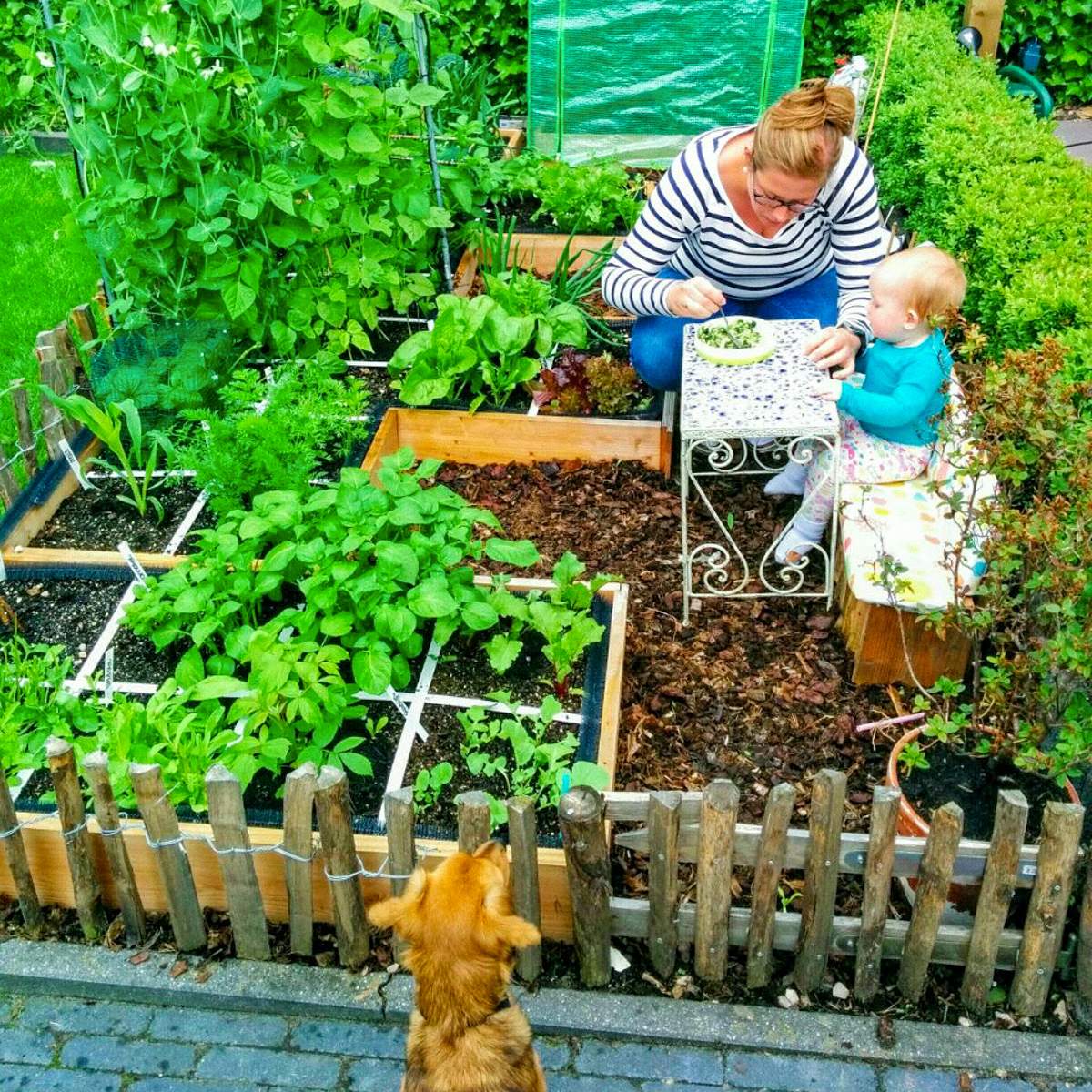 Irma's Mini Makkelijke Moestuin naast het terras