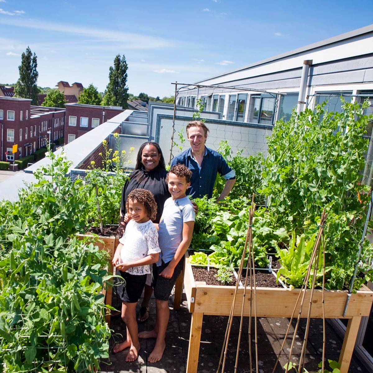 Dakterras met Makkelijke Moestuinbakken