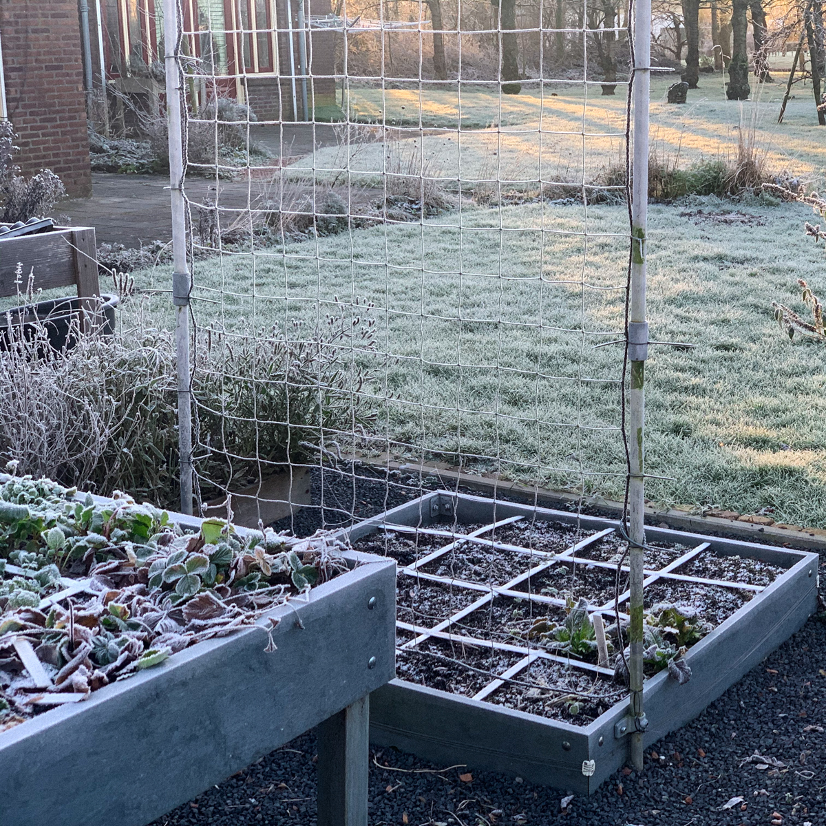 Bevroren Makkelijke Moestuinbakken: nog even wachten met zaaien