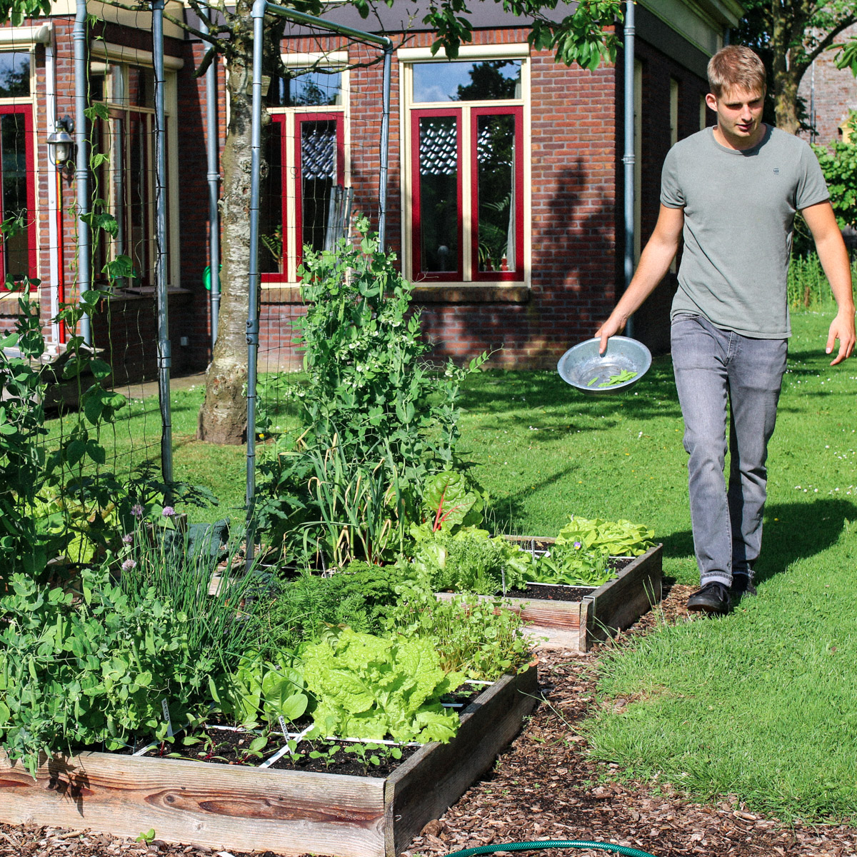 De beste plek voor je moestuin? Zo dicht mogelijk bij de keukendeur.