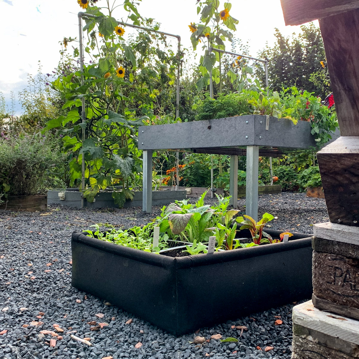Nieuwe Airbak van de Makkelijke Moestuin
